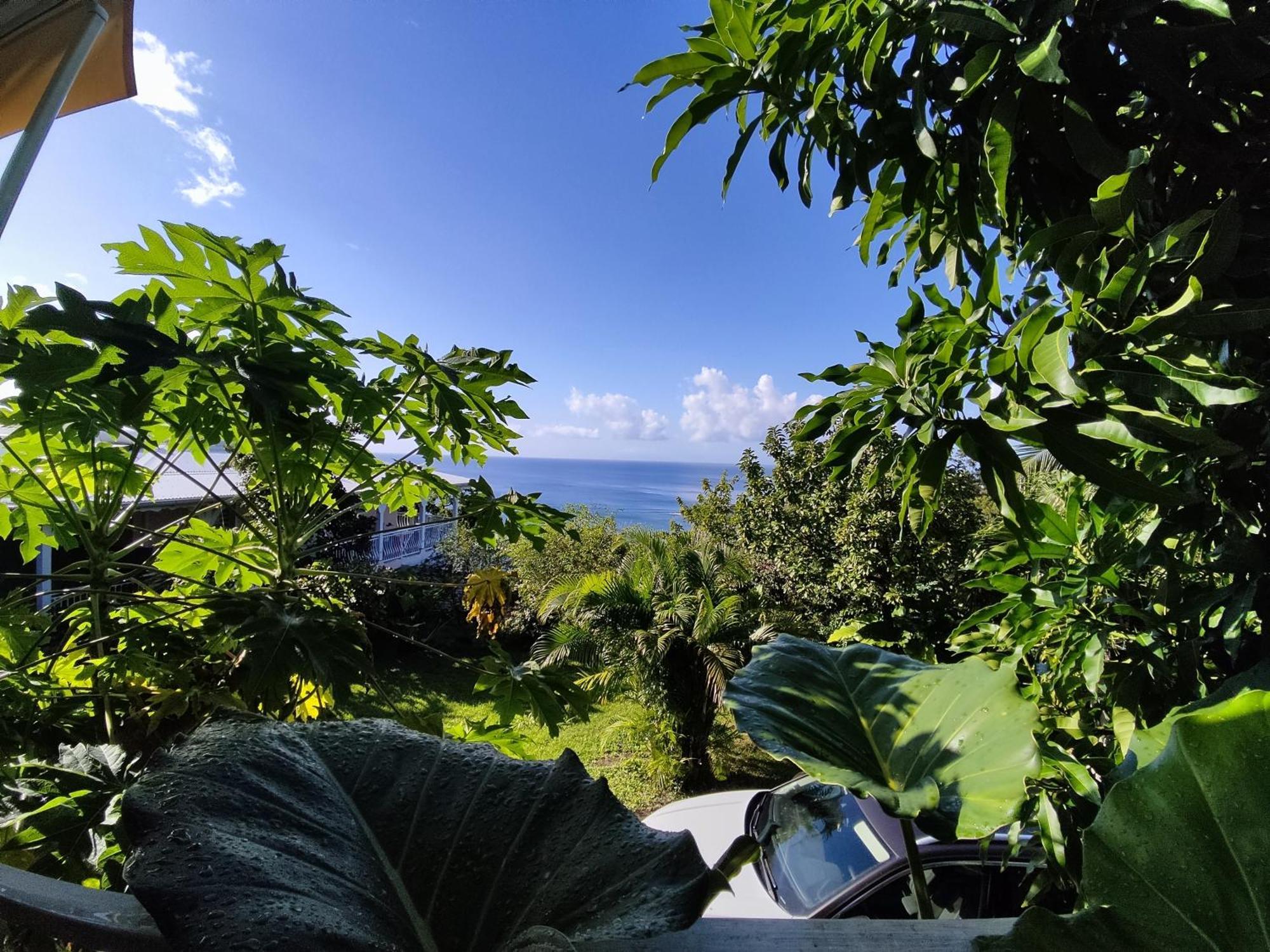 Bungalow With Sea View In Deshaies Bilik gambar